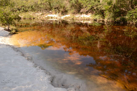 River with sand and fishes at Rio Preto State Park in Minas Gerais called Prainha (translate to little beach)の写真素材