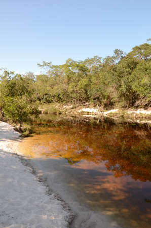 River with sand and fishes at Rio Preto State Park in Minas Gerais called Prainha (translate to little beach)の写真素材