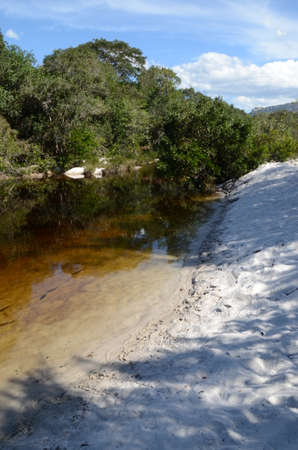 River with sand and fishes at Rio Preto State Park in Minas Gerais called Prainha (translate to little beach)の写真素材