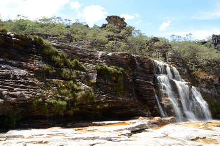 Waterfall in Rio Preto State Park in Minas Gerais at Cachoeira da Semper-Viva (translate to Always-Alive Waterfall, with is the popular name of Actinocephalus polyanthus)の写真素材