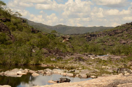 River and view in Rio Preto State Park in Minas Gerais at Cachoeira da Semper-Viva (translate to Always-Alive Waterfall, with is the popular name of Actinocephalus polyanthus)の写真素材
