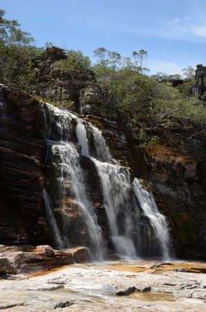Waterfall in Rio Preto State Park in Minas Gerais at Cachoeira da Semper-Viva (translate to Always-Alive Waterfall, with is the popular name of Actinocephalus polyanthus)の写真素材