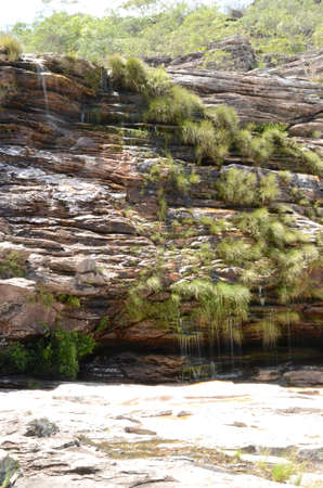 Dry waterfall wall in Rio Preto State Park in Minas Gerais at Cachoeira da Semper-Viva (translate to Always-Alive Waterfall, with is the popular name of Actinocephalus polyanthus)の写真素材