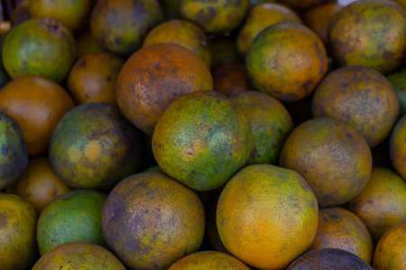 A group of oranges on market displayの写真素材