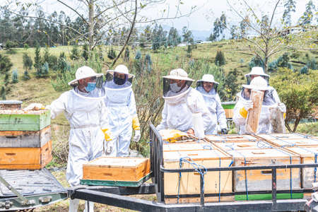Group of male and female beekeepers preparing honeycombs for transport. Bee honey harvest concept