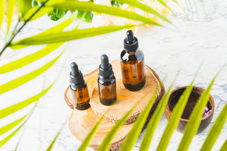 Group of essential oil bottles on wooden bases in the middle of palm leaves with copy spaceの写真素材