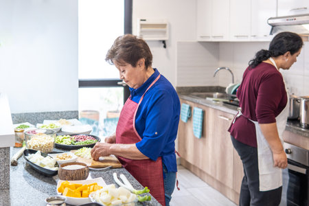Two women from the family cooking in the kitchen of their apartmentの写真素材