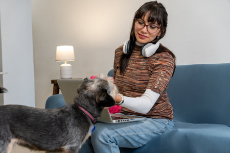 Woman focusing on laptop while her furry dog seeks attention from her handの写真素材