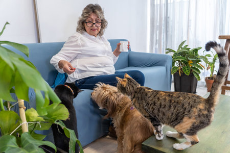 Senior woman sitting on a sofa sharing a moment with her two cats and a dog