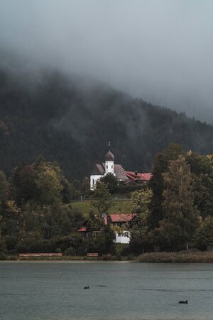 Foggy forest in the autumnの写真素材