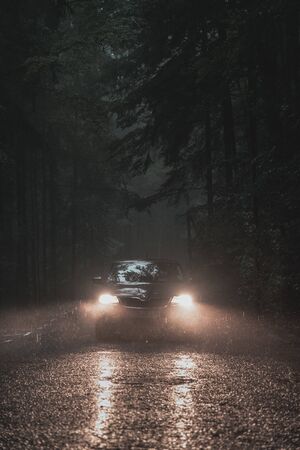 Dark Forest in the Autumnの写真素材
