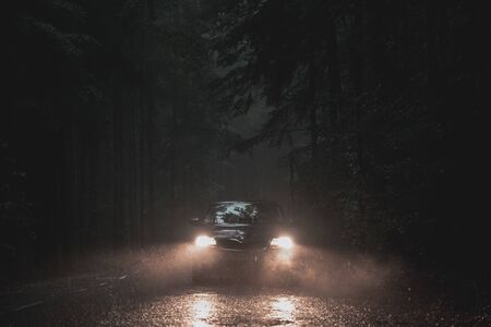 Dark Forest in the Autumnの写真素材