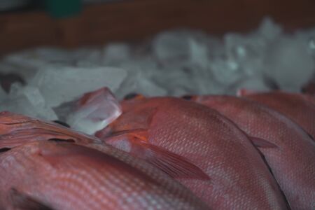 Fresh fish at the Harbor of Floresの写真素材