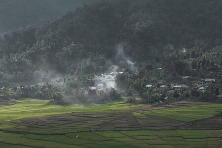 Rice fields in the landscape of Indonesiaの写真素材