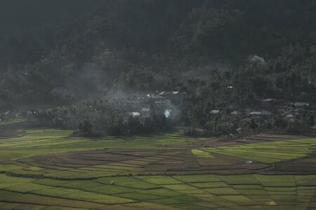 Rice fields in the landscape of Indonesiaの写真素材