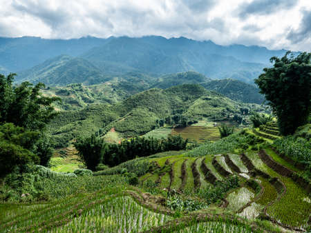 Vietnam Sapa Rice fields beautiful viewの写真素材