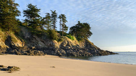 on the beach at seven o'clock in the morningの写真素材