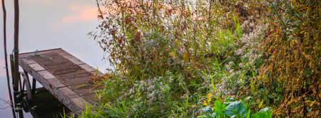 A dock during the sunset in the river with vegetationの写真素材