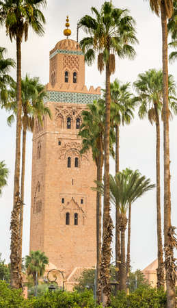 The Koutoubia View with lot of Palm treesの写真素材