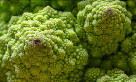 Macro of beautiful texture of green Romanesco broccoli in the kitchenの写真素材