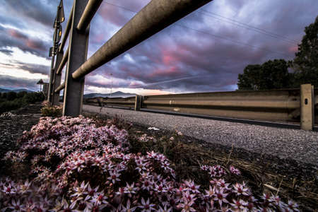 a street shooting from below at sunsetの写真素材