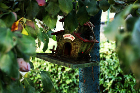 Birdhouse on a Tree