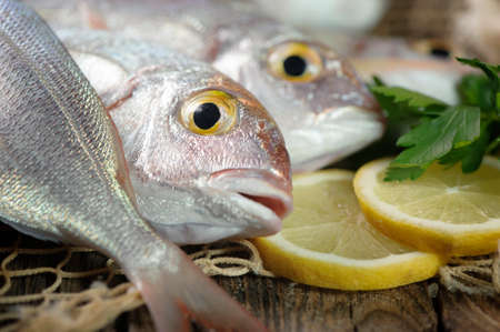 Pile of fish fish marketの写真素材
