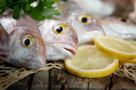 Pile of fish fish marketの写真素材