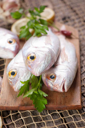 Pile of fish fish marketの写真素材