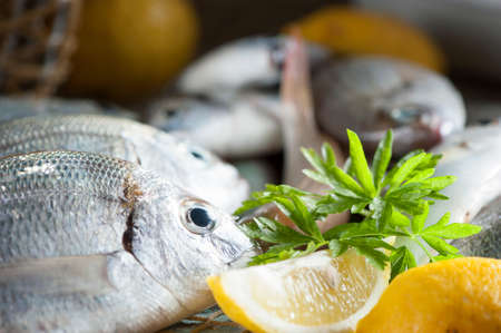 Pile of fish fish marketの写真素材