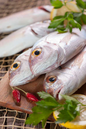 Pile of fish fish marketの写真素材
