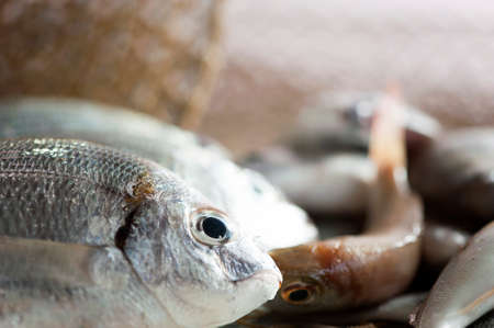 Pile of fish fish marketの写真素材