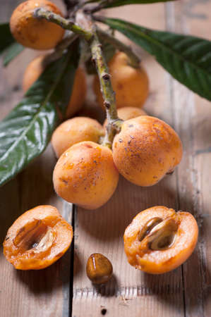 freshly picked loquatsの写真素材