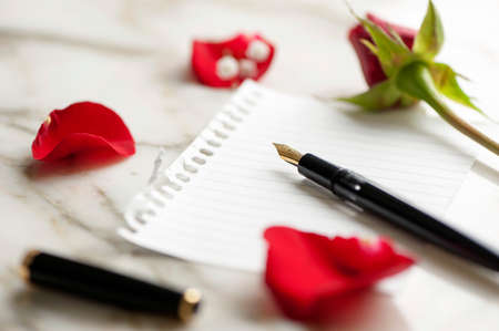 red rose with petals over a blank paperの写真素材