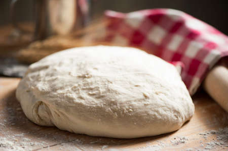 Dough for breadの写真素材