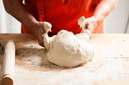 Dough for breadの写真素材