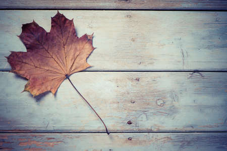 Leaves over wooden backgroundの写真素材