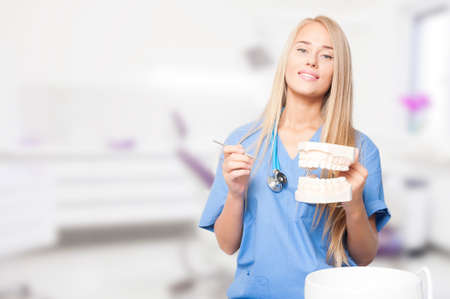 Female dentist, keeps in hand model of teeth.