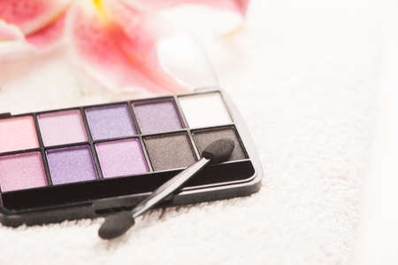 Make-up brushes and make-up eye shadows with nails manicure set up