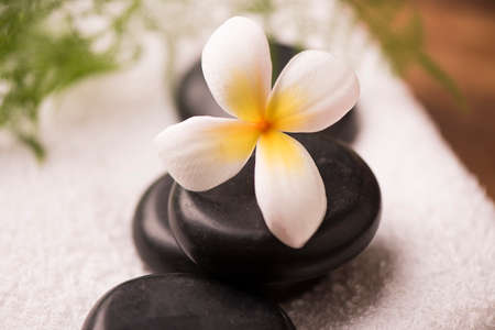 Spa setting with Frangipani flowers の写真素材