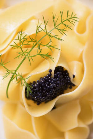 caviar pasta tagliatelle on a white dish. Close upの写真素材