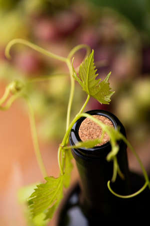 A bottle wine close up with a cork. Top viewの写真素材