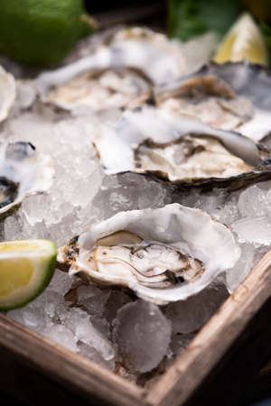 Oysters on crushed ice close upの写真素材