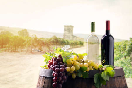 two bottles of wine in a suny day on wineyardの写真素材