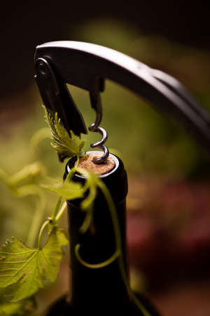Cork and wine bottle close upの写真素材