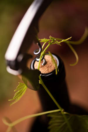 Cork and wine bottle close upの写真素材