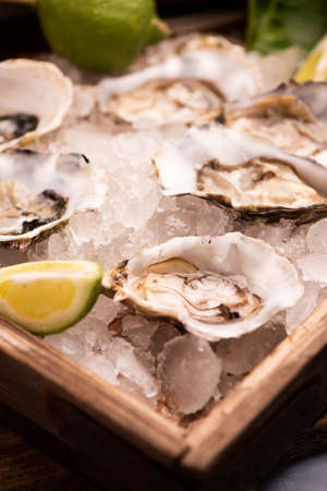 Oyster on ice cube close upの写真素材