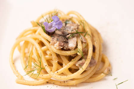 Bucatini, Italian pasta with sardienes, close upの写真素材