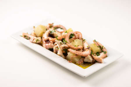 Seafood salad on white plate and isolated on whiteの写真素材