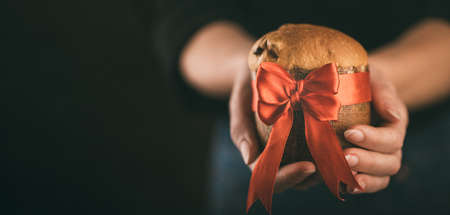 Hands Woman holding panettone wrapped as a christmas gift close upの写真素材